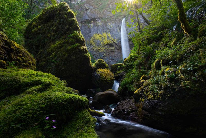 waterfall photography in forest photography