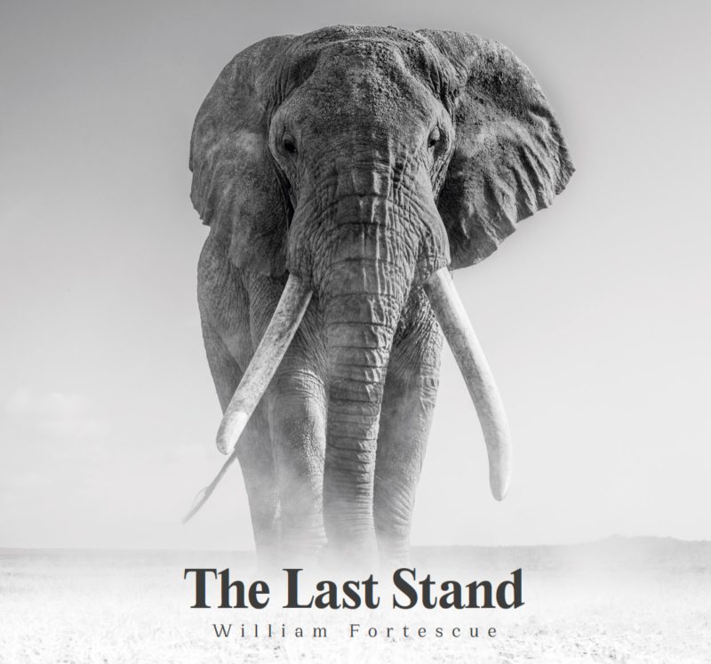 The Last Stand Nature Photography Book