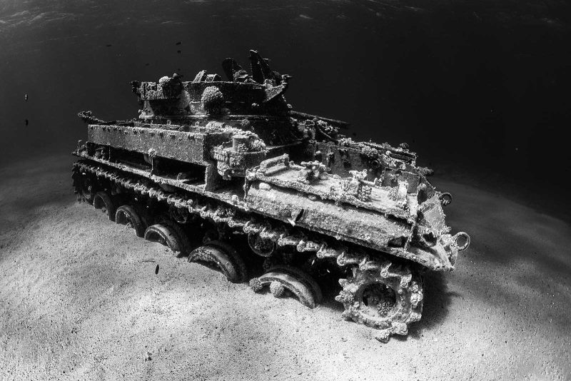 black and white underwater photography