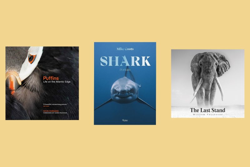 Top 10 Nature Photography Books for Photographers 2023 Nature TTL