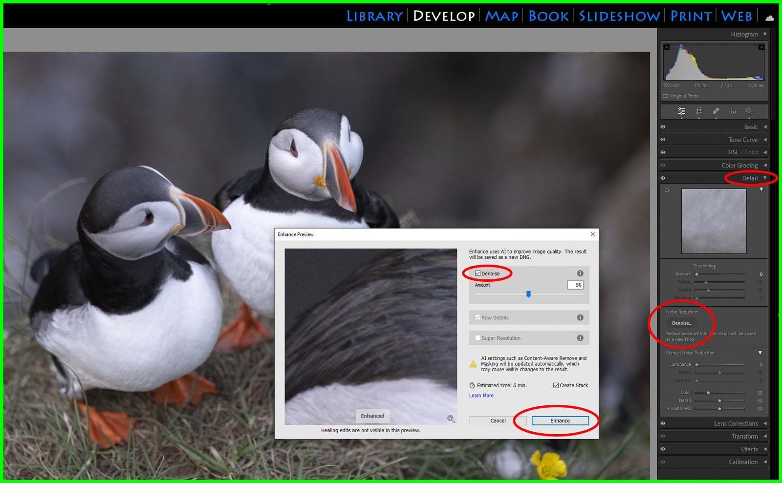 General photography tutorials nature ttl