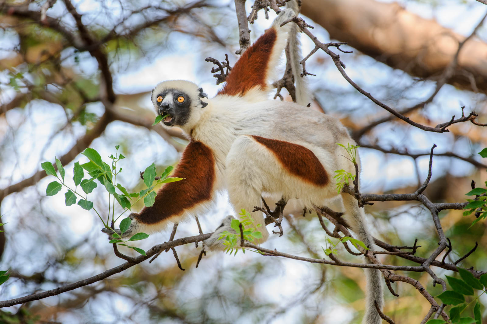 Featured photography tutorials nature ttl