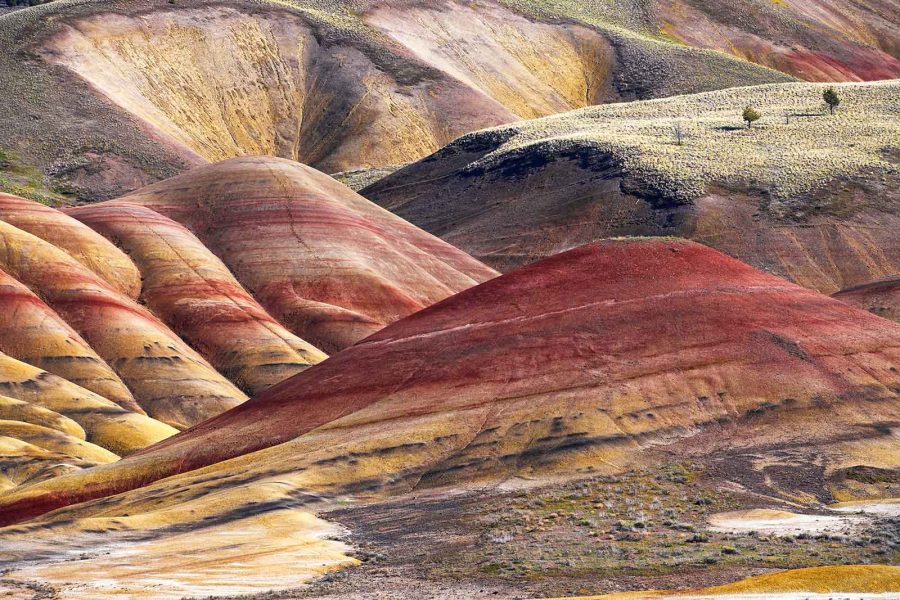 7 Essential Tips for Photo File Organization and Storage - Nature TTL