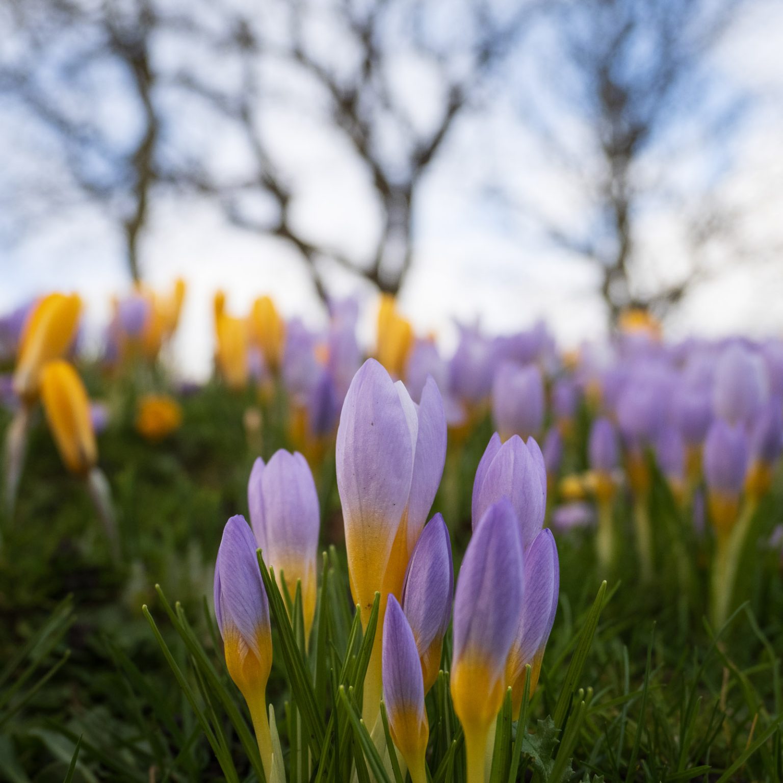 Handheld Landscape Photography Shooting Landscapes Without a Tripod