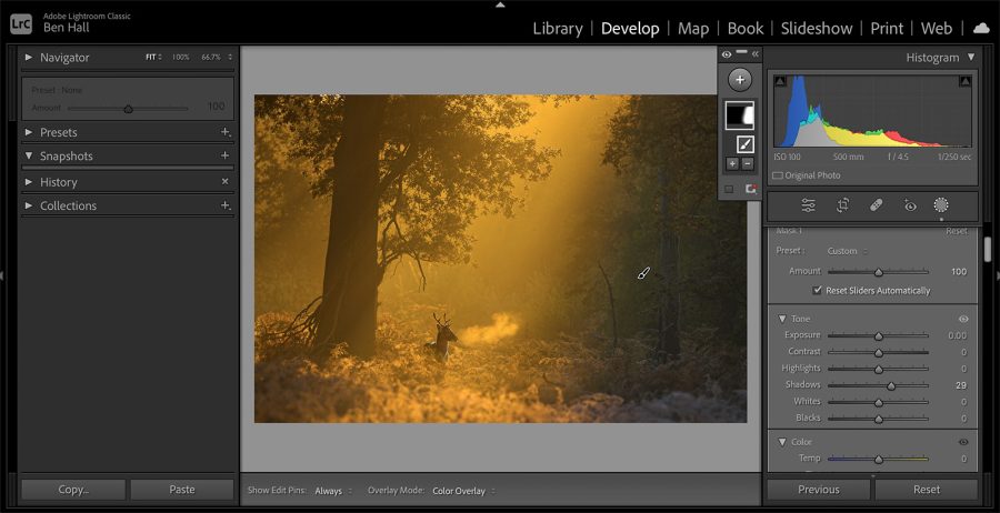 Light Editing Guide Editing Guide to Golden Hour Photography - Nature TTL