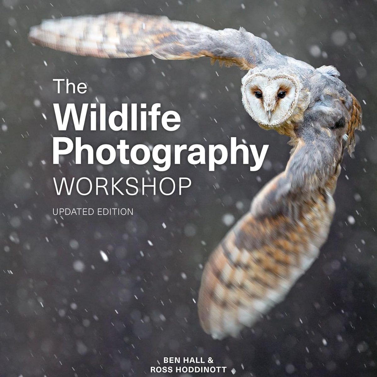 Top 10 Nature Photography Books for Photographers in 2024 - Nature TTL