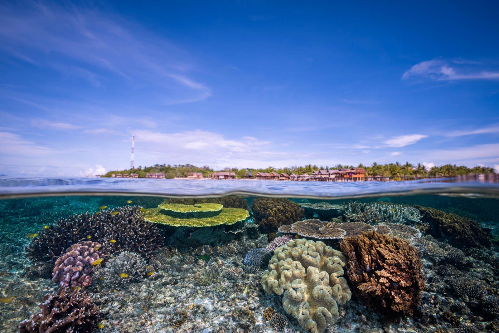 How to Plan an Underwater Photography Trip to Raja Ampat &ndash; Nature TTL